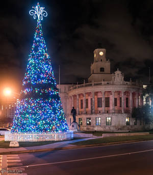 Coral Gables City Hall and tree