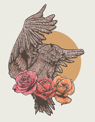 owl and roses