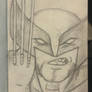 Wolverine. 36/100