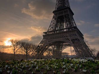 Springtime in Paris