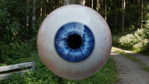 Eyes 1