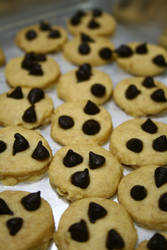 Chipocco Cookies