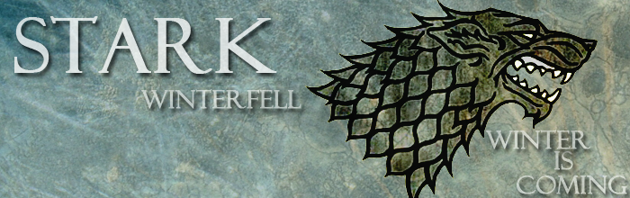 Stark Skin - Banner 1