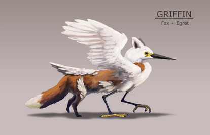 Griffin, Fox + Egret