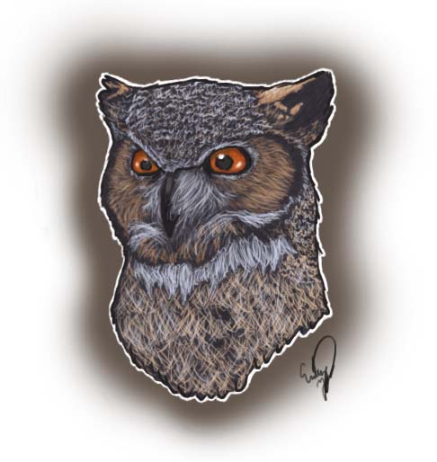 Great Horned Owl