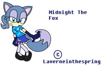 Midnight the fox