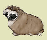 Tanuki.. by Minamoto