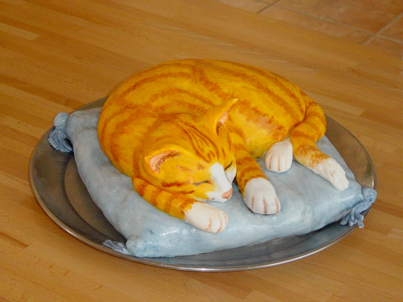 Cat Cake 1