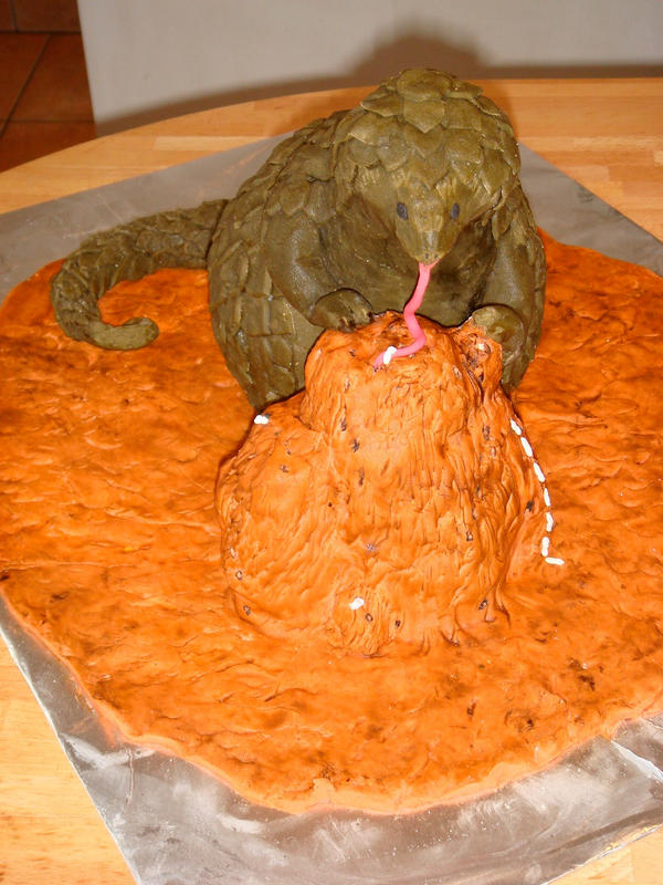 Pangolin cake