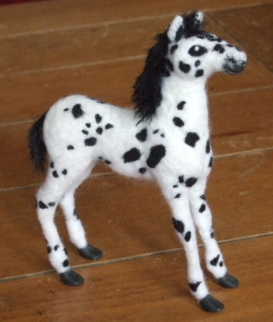 Appaloosa foal.