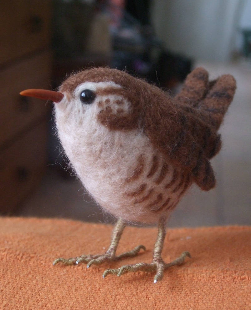 Jenny wren by Shoshannah84 Jenny wren by Shoshannah84
