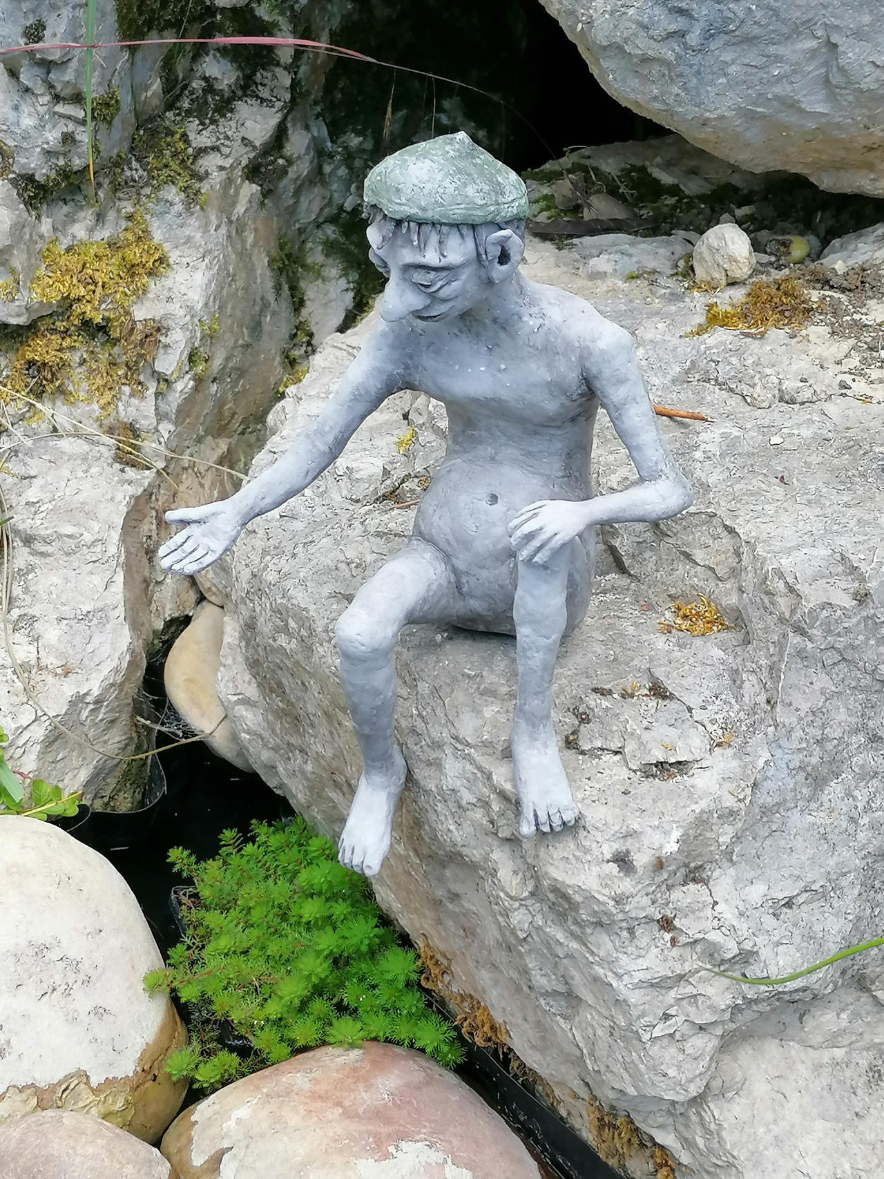 Fish pond troll