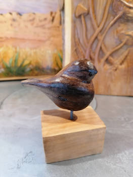 Drift wood birdie