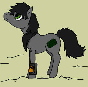 Dust from Fallout Equestria The Line