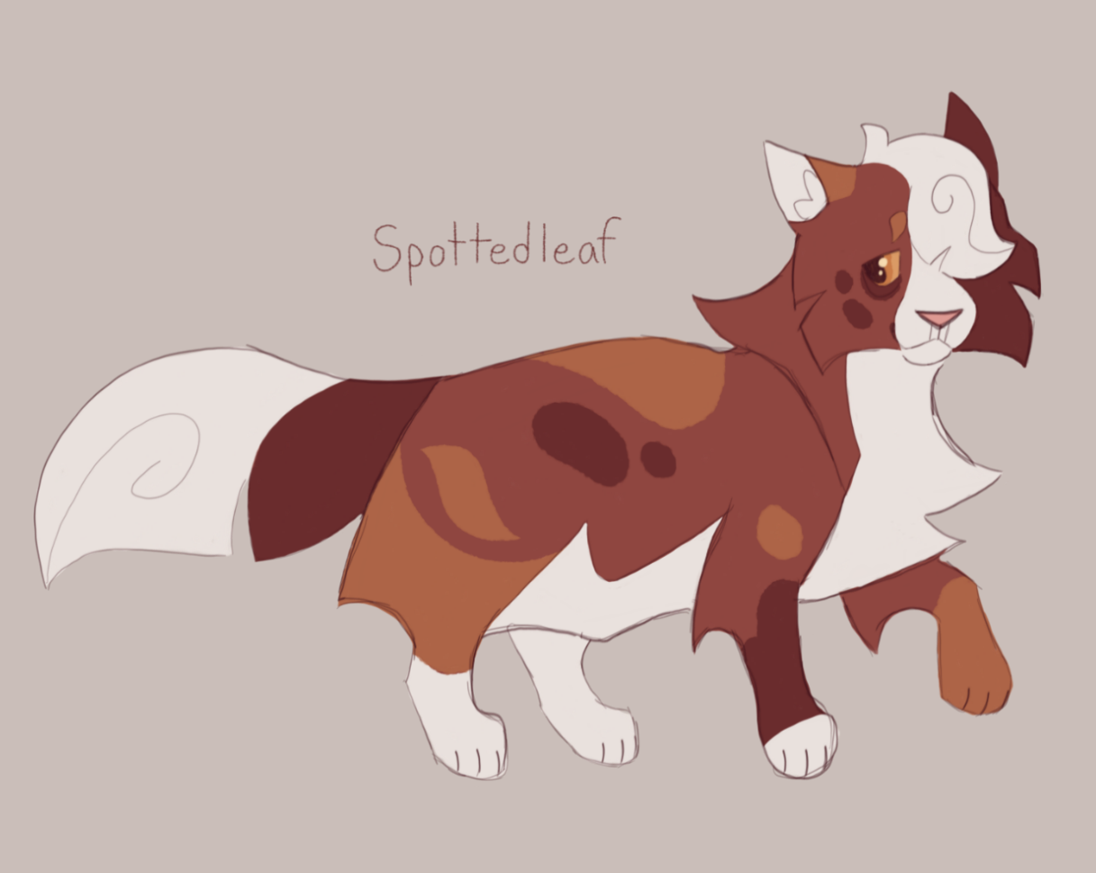 Spotledleaf Spottedleaf by grovejaws on DeviantArt