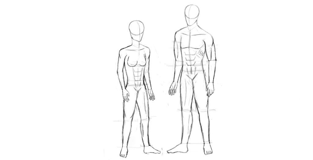 Body Base Normal Body Bases by 7080T1CM1ND on DeviantArt