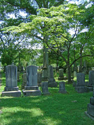 Graveyard Stock