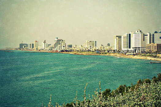 Israeli Coast