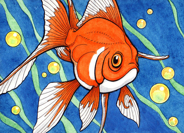 Fish Stylisation Stylized Fish by TheArtfulMegalodon on DeviantArt