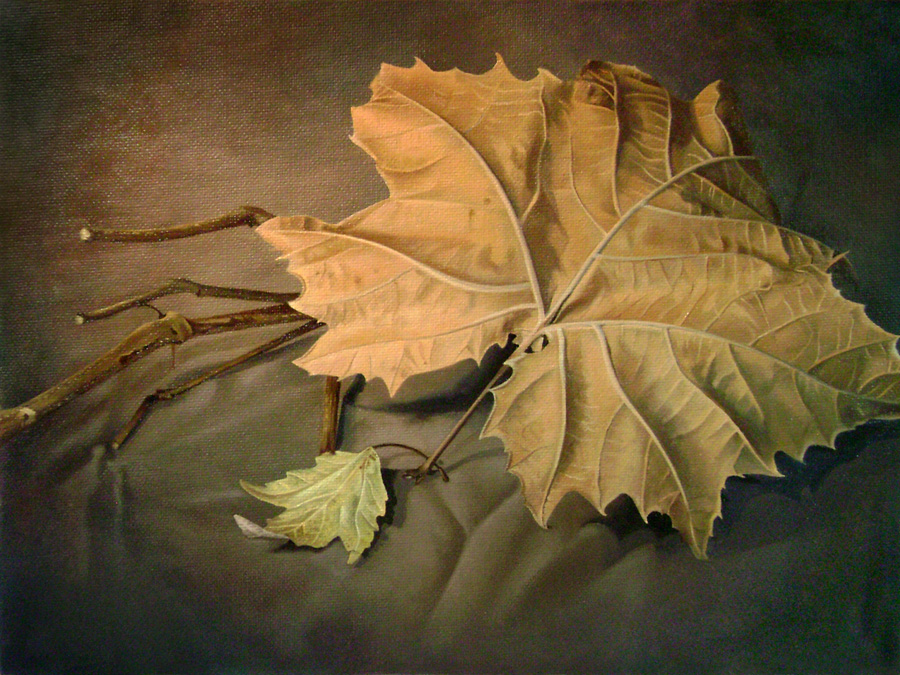 Dead Leaf Still Life