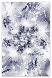 _ Winter Flower _