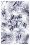 _ Winter Flower _ by Alis86