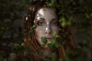 l o s t a n d f o u n d by silvia-giuli l o s t a n d f o u n d by silvia-giuli