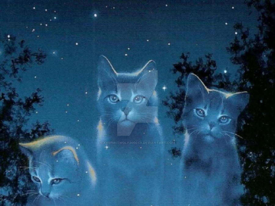 Starclan Cats By XXspiritwolf2000XX On DeviantArt starclan-cats-by-xxspiritwolf2000xx-on-deviantart
