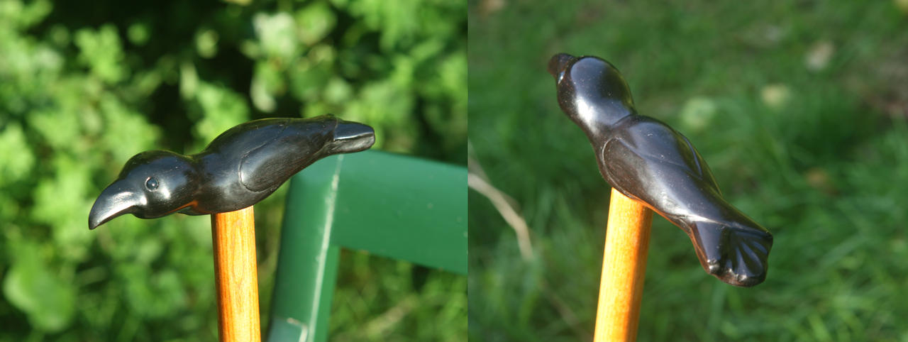 Raven Using Sticks Raven stick by pd-technon on DeviantArt