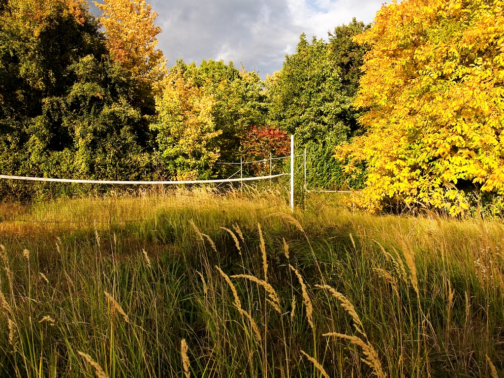 Autumn Volleyball