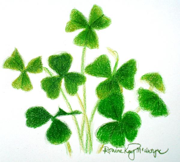 Shamrocks