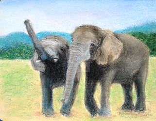 Elephants