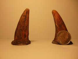 Faun Horns Size Comparison
