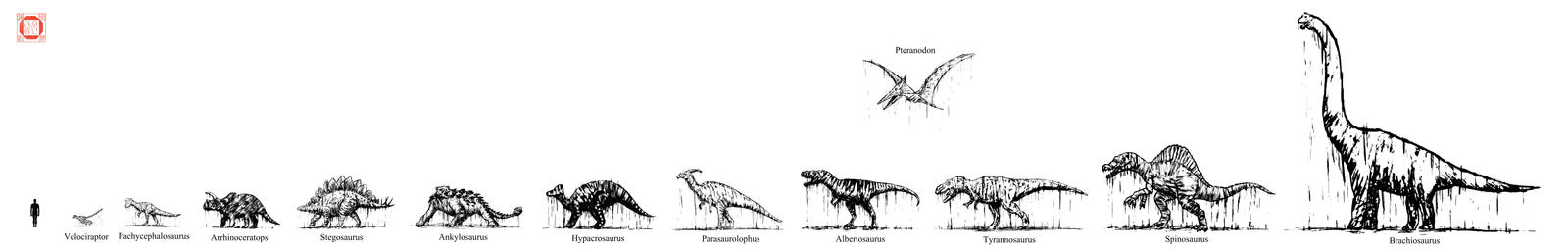 Dinosaurs - Size Comparison