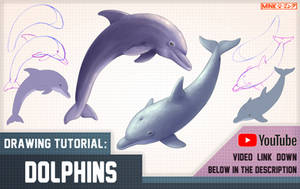 Dolphins - Mink's Tutorials