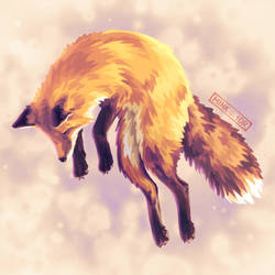 Jumping Fox