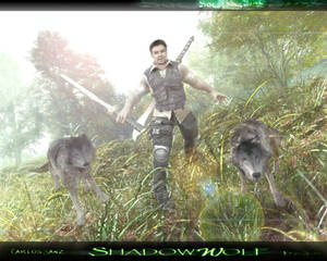 :: THE WOLF STANCE :: by SOULSSHINE :: THE WOLF STANCE :: by SOULSSHINE