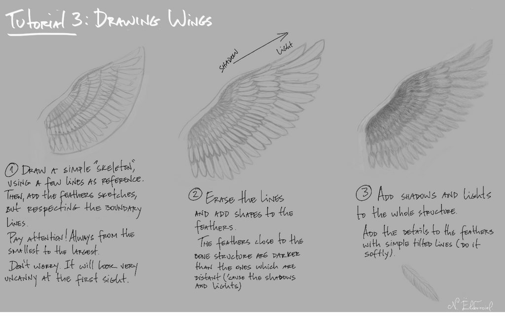 Deltawing Simple Drawing Tutorial 3: Drawing Wings by NataelinEldormiel on DeviantArt