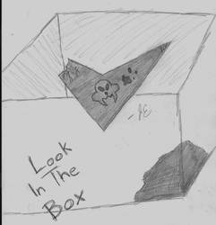 Look In the Box