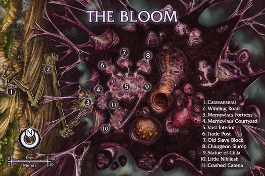 The Bloom