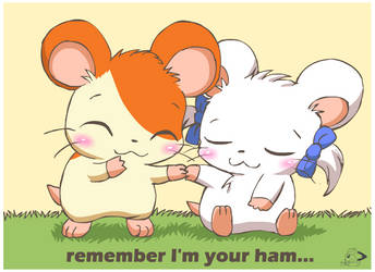Remember I'm Your Ham by pichu90