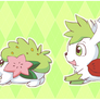 Shaymin '13