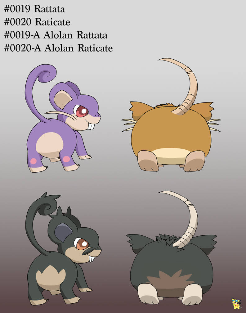 Angry Rattata 0019-0020: Rattata family by pichu90 on DeviantArt