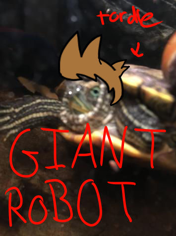 Quiver the Turtle by CyinderDragon on DeviantArt