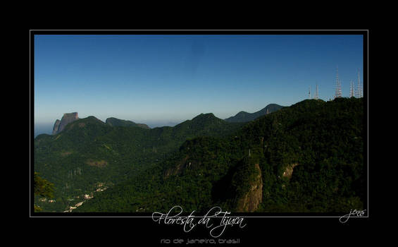 Floresta da Tijuca