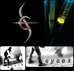 SysEx