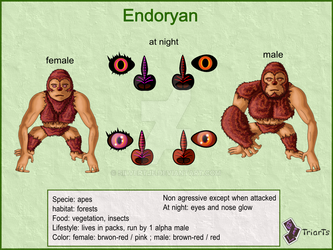 Endoryan