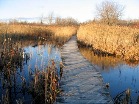 Plum Island