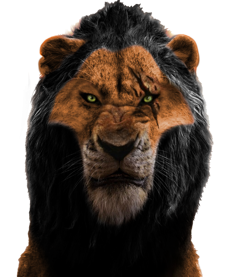 Lion King Scar And Simba