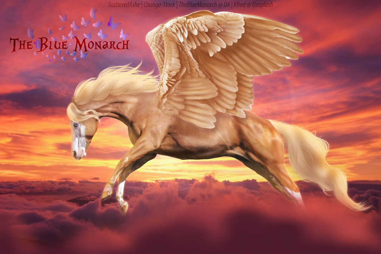 Cloud Jumper By TheBlueMonarch On DeviantArt